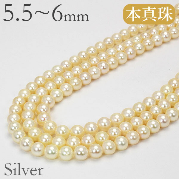 ロングネックレス パール ネックレス パールネックレス 真珠ネックレス パールロングネックレス 140cm 本真珠 あこや アコヤ 5.5-6mm 送料無料 普段使い カジュアル 人気 おすすめ プレゼント ギフト ジュエリー 決算 セール|パールジュエリー専門店 真珠の杜