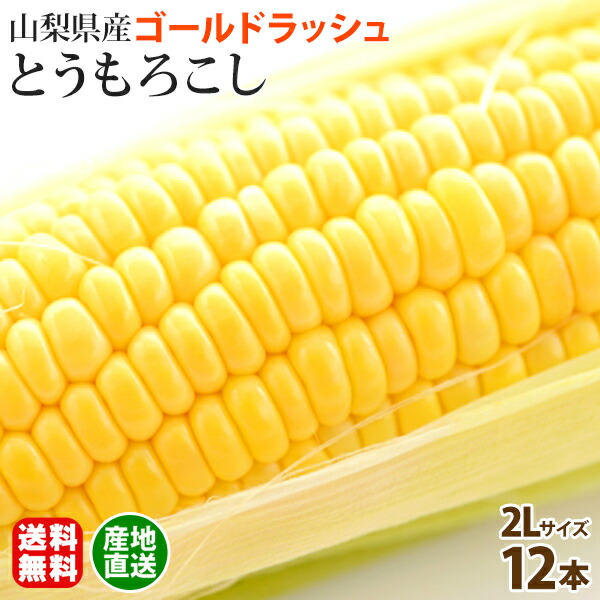ゴールドラッシュのヤングコーン大量入荷中！ - 道の駅とよとみ