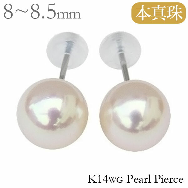 パール ピアス 真珠 スタッド シンプル k14 14k 14金 ホワイトゴールド ペア 本真珠 あこや アコヤ 8mm-8.5mm 冠婚葬祭 フォーマル カジュアル 普段使い 即日発送 即納品 プレゼント ギフト ジュエリー 決算セール｜パールジュエリー専門店 真珠の杜