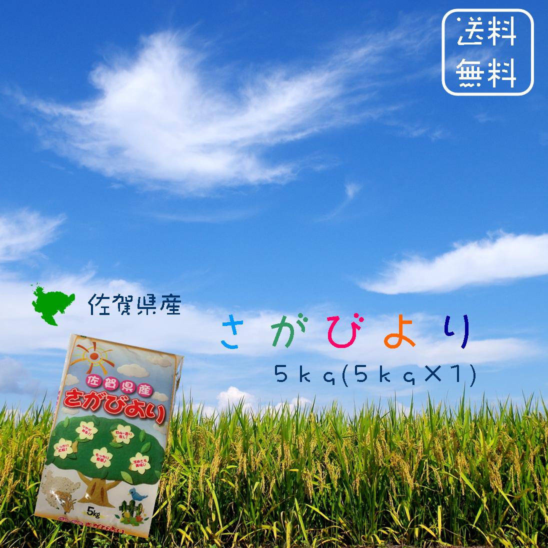 1ぶづき　10kg玄米を1ぶで精米　美味しいお米　炊飯できる玄米　1ぶづき9kg 1分づきのすすめ - 株式会社みのりや米店 こだわり米屋 埼玉 東京