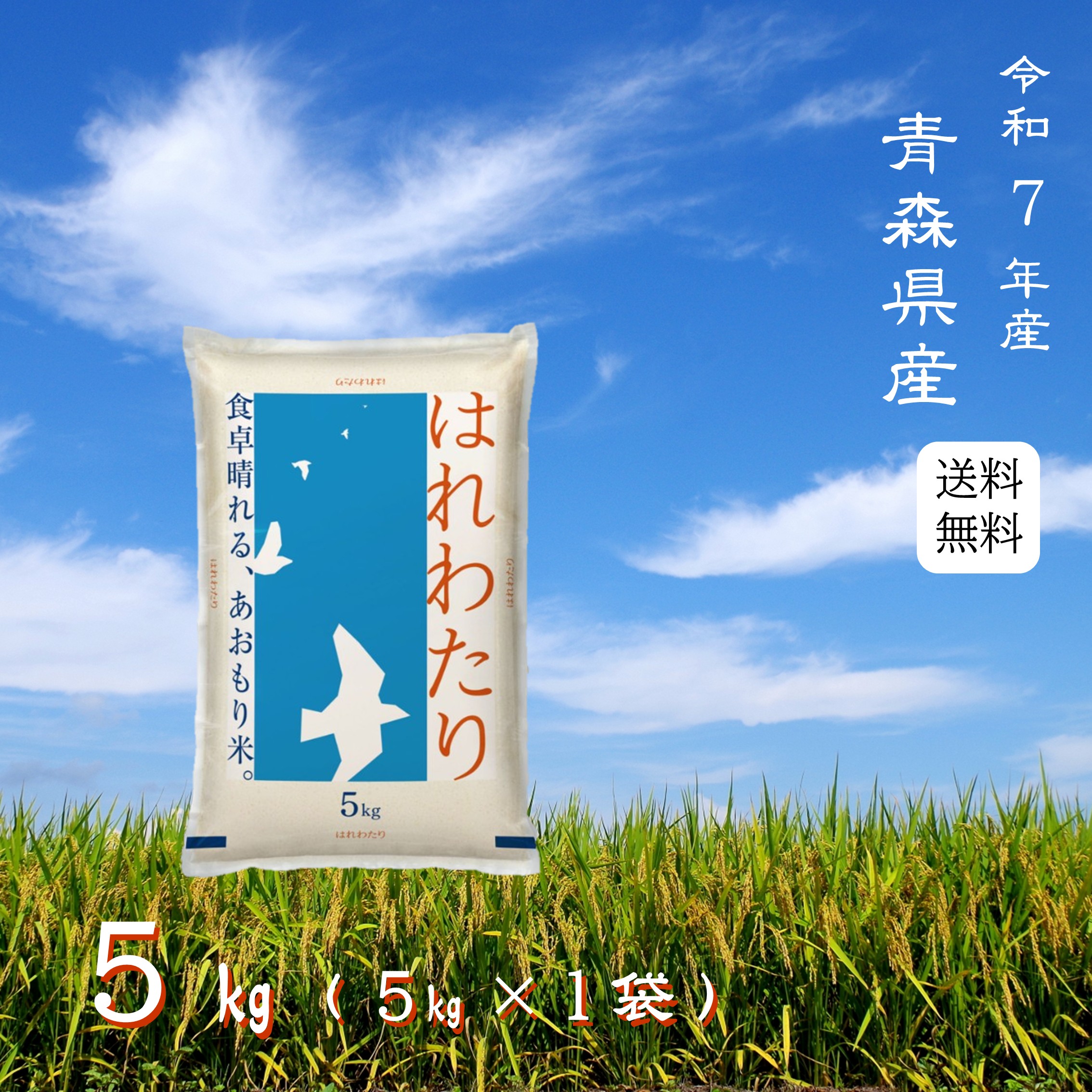 楽天市場】※夏セール※【選べる精米／白米・玄米・分づき米】 はれ