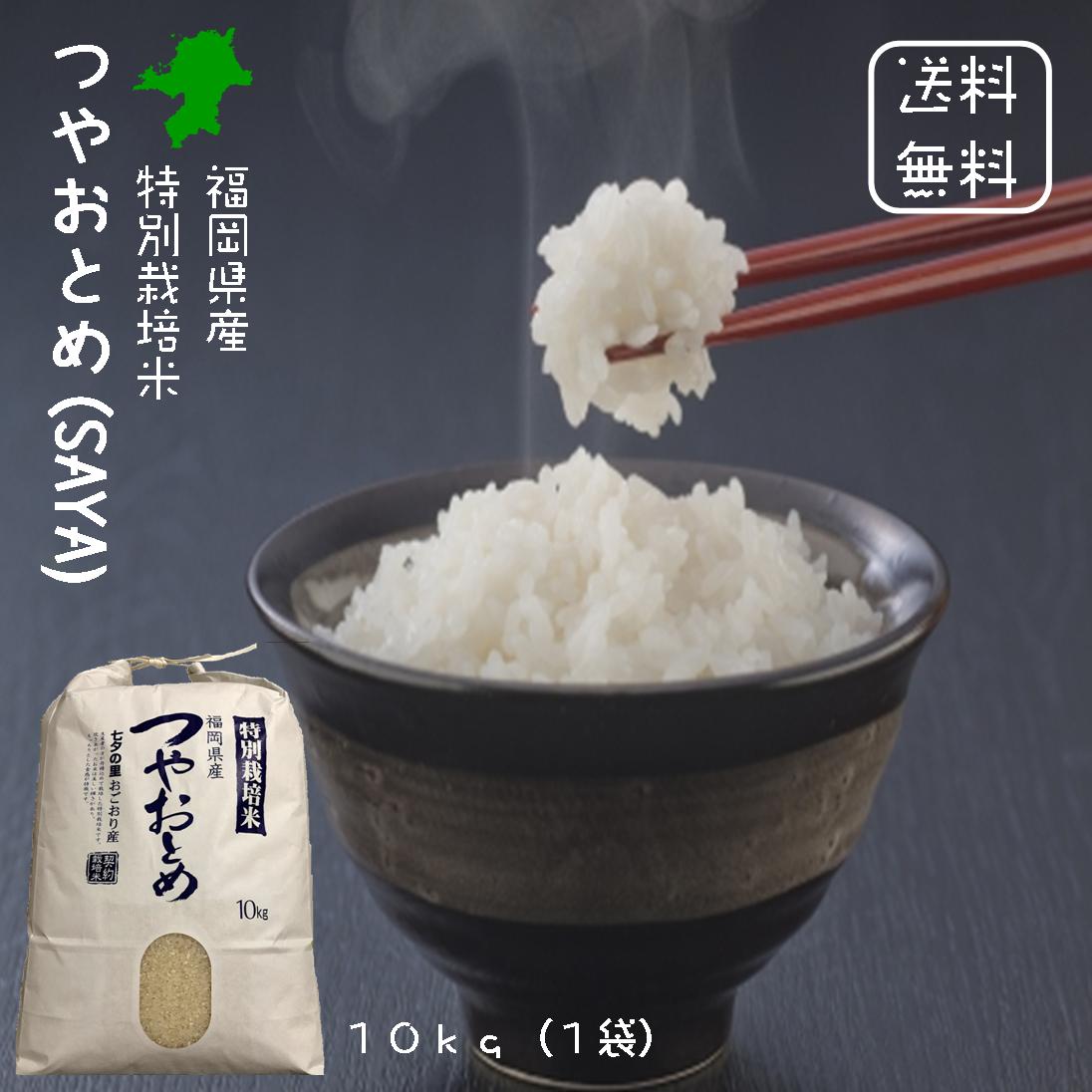 福岡県産 特別栽培米 つやおとめ (SAYA) 白米 10kg(10kg×1袋) 契約農家 契約栽培米