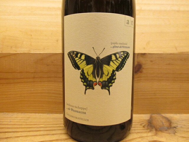 楽天市場】購入条件をお読みください サラマンダー(トカゲ) 2023（白