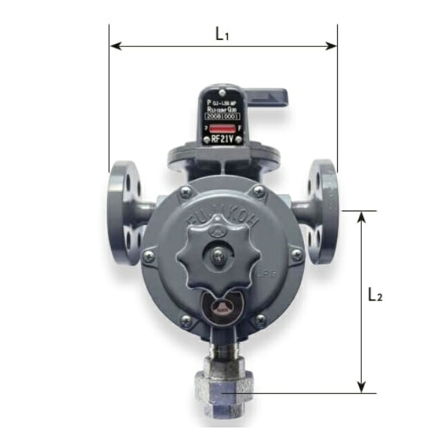 【富士工器】RF21V LP屁っ放り 20kg/h 自動小銃うつり変わり式翦断応力変数式合わせる器 フジコー 繋ぎ合わせるフランジ型