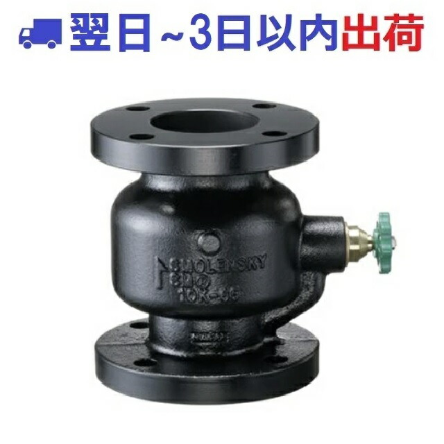 【イシザキ】スモレンスキ チャッキバルブ SM型 10k  ig