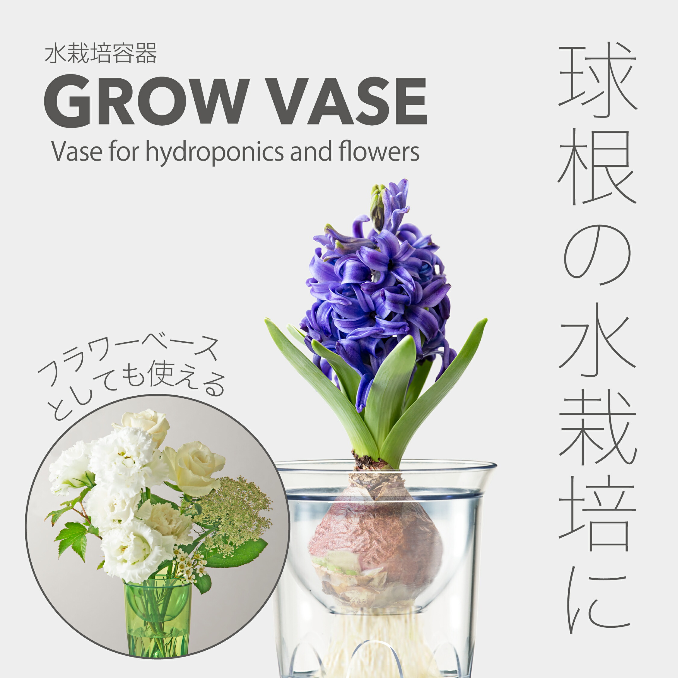 楽天市場】GLASS BULB BASE LONG 球根用フラワーベース ロング