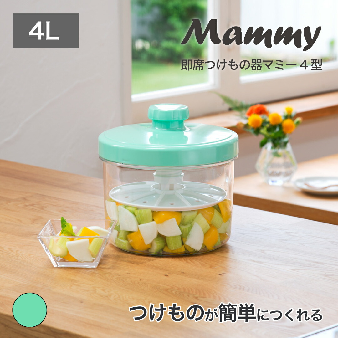 漬物入器 楽天市場】【公式直営店】 簡単 浅漬け 容器 漬物器 即席つけもの器