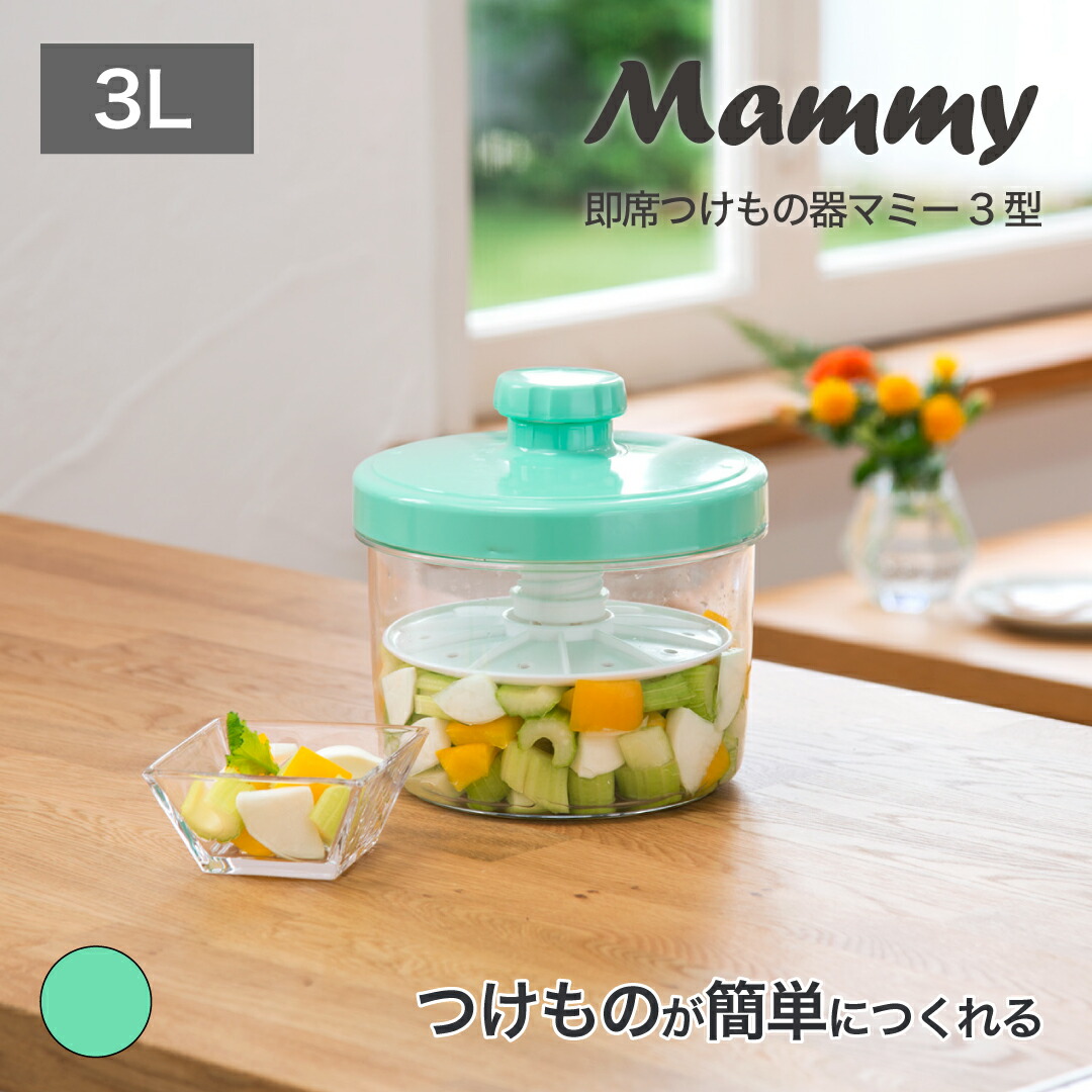 楽天市場】【公式直営店】 簡単 浅漬け 容器 漬物器 即席つけもの器