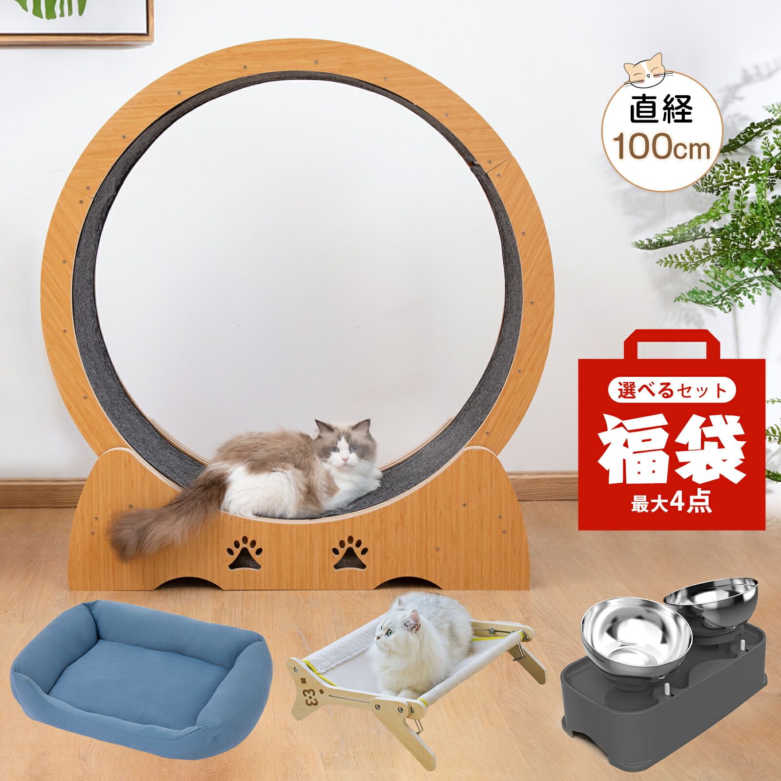 楽天市場】【最大2,000円クーポン1月16日01:59まで】ワンファスト