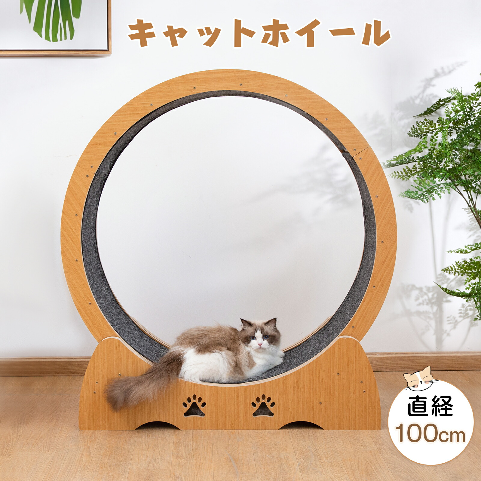 ニトリ 犬猫ホイールPP 円形80cm 上品なスタイル ニトリ 支払わ 犬猫ホイールPP 円形80cm