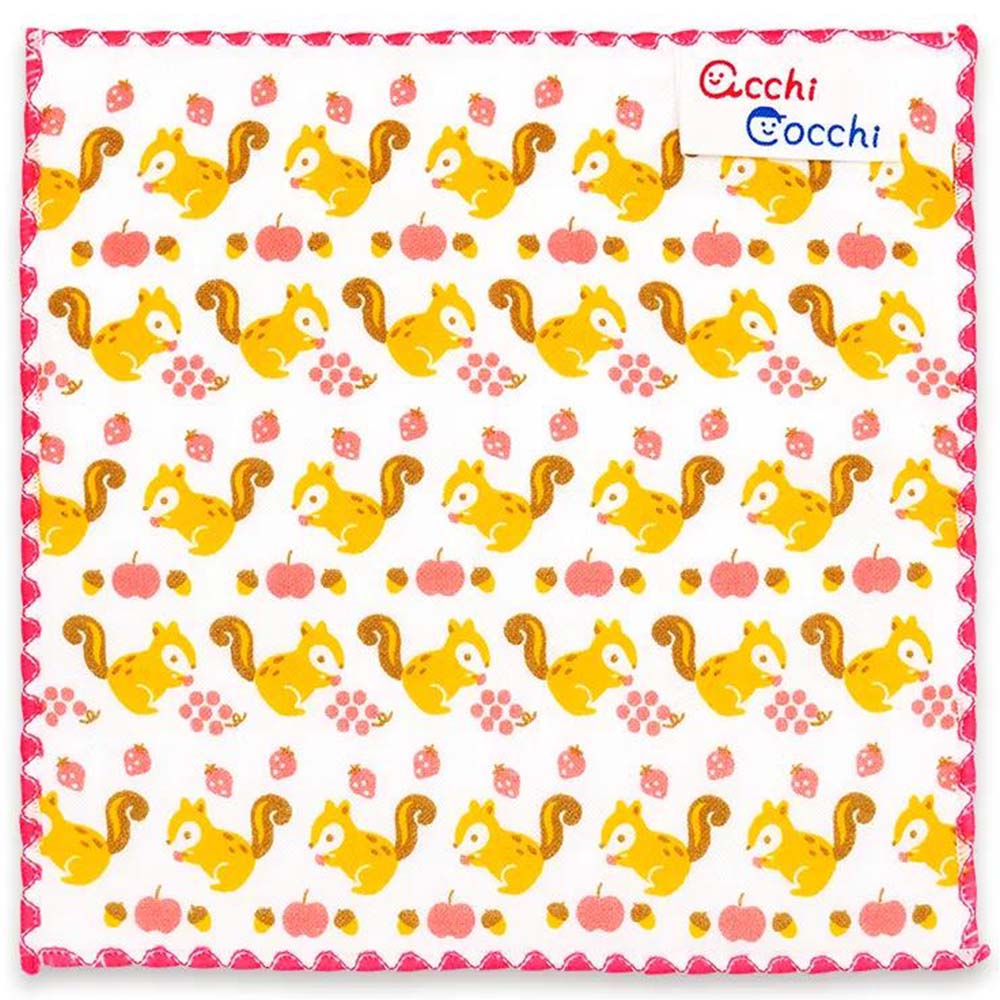 【ハンカチ】子供ハンカチ あっちこっち acchi cocchi リス 02932 sps画像