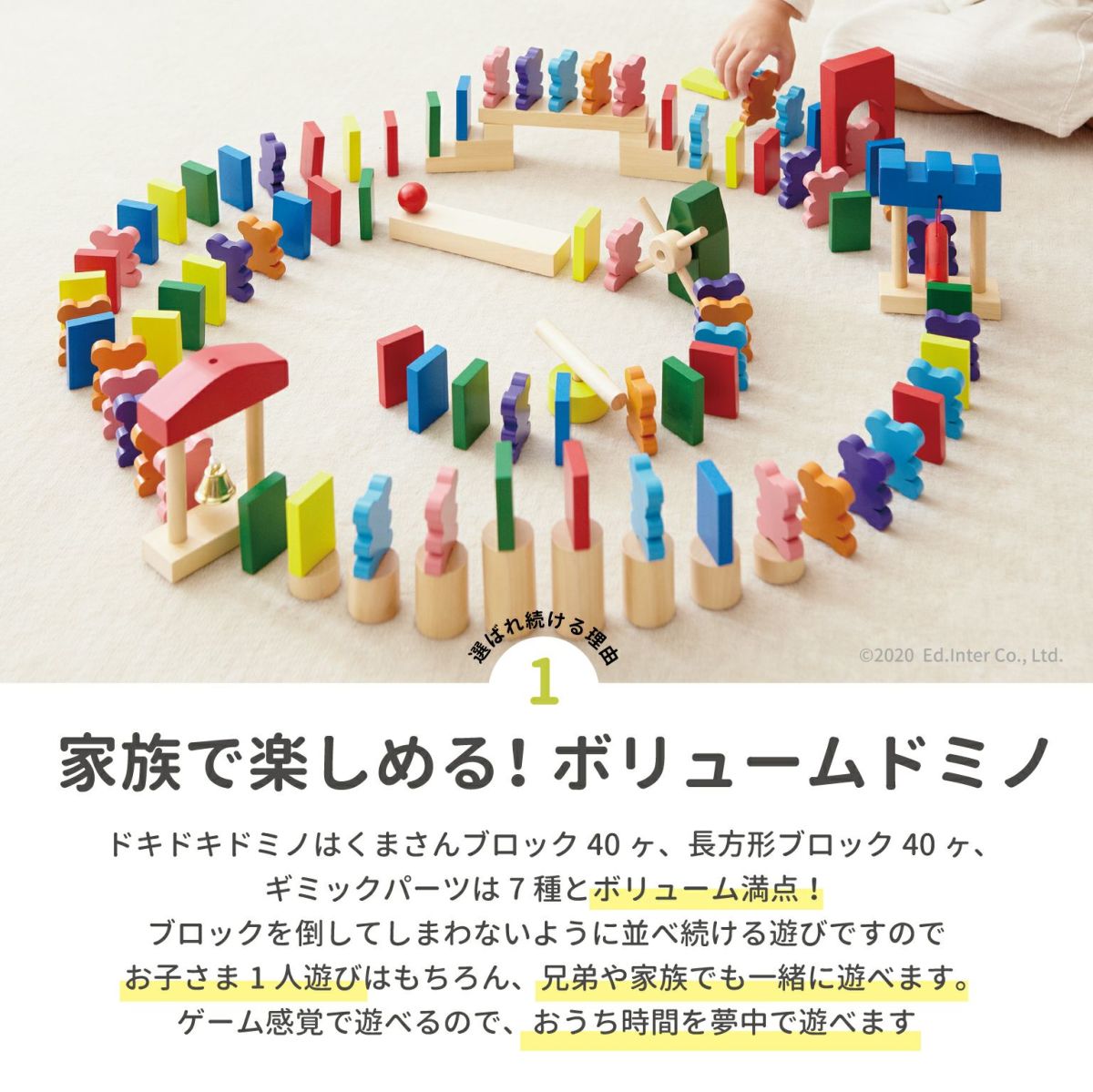 ドキドキドミノ エド・インター 知育玩具 知育グッズ 教育玩具 木製