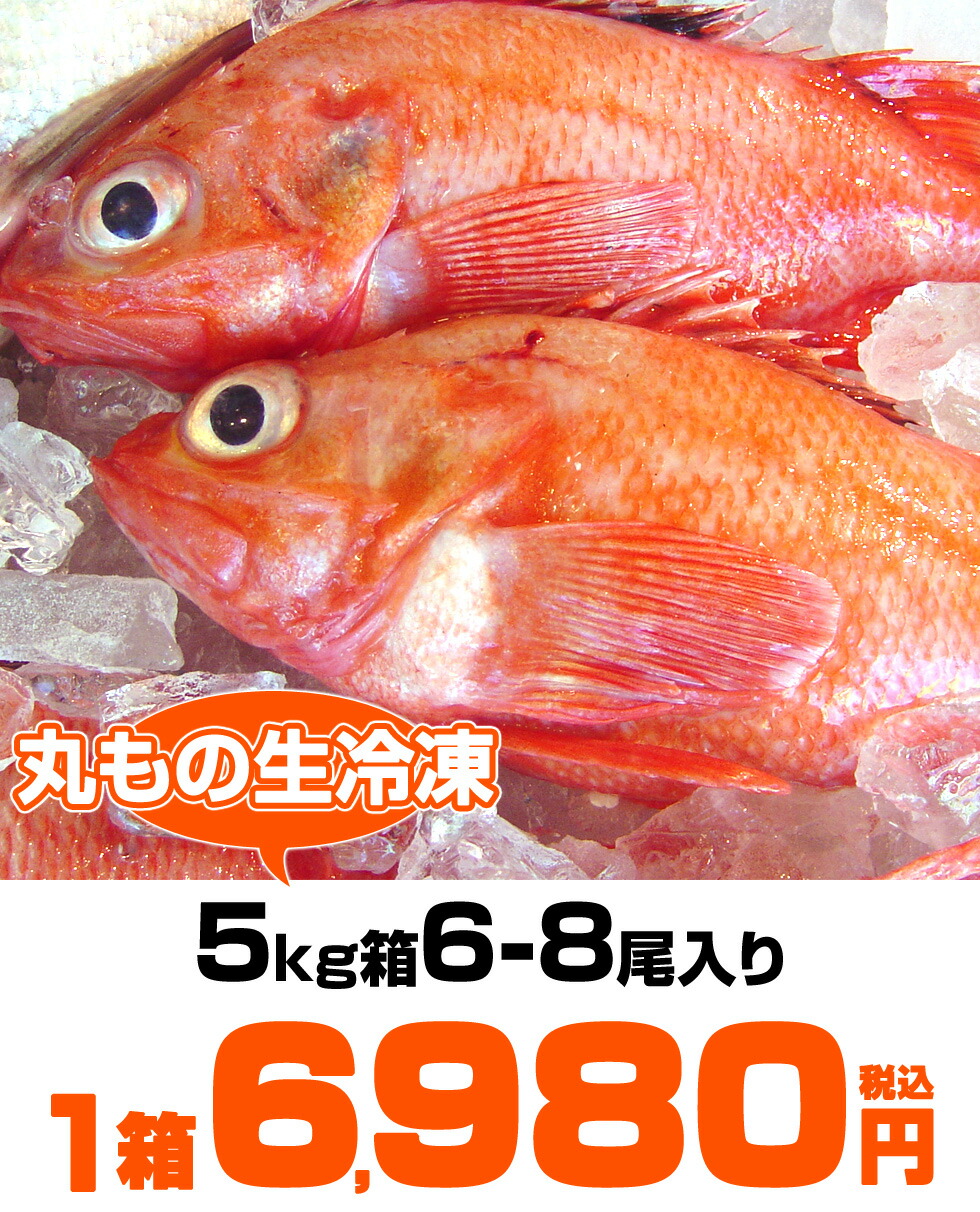 毛並寒気 マネー代物 きんき 6尻っぽ 5kg入れもの 丸もの生凝固 きんき 冷凍とと お勤め失費 コットンあり 吉次 キンキ 魚 良質 業務用 付届用 贈答 贈答面目 褒賞 返礼品 アラスカ 自然に きんき よろしい物 旨い 旨い物詰め合わせ 贈り物 プレゼント お取り寄せ お