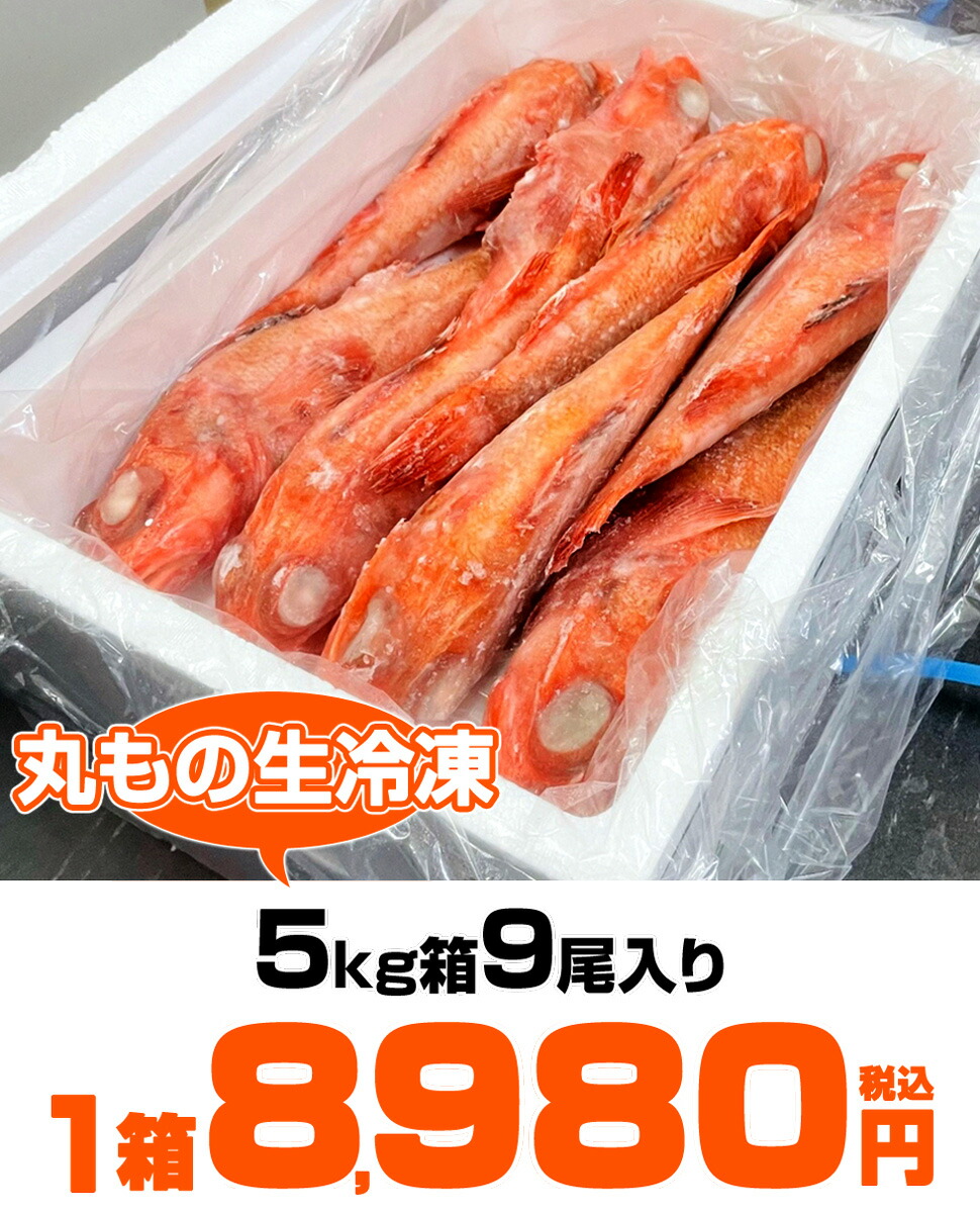 小物などお買い得な福袋 の吉次 煮物 和食 業務用 天然 キンキ きんき 仕入れ 業務用 生魚 ラドラ アラスカキンキ お祝い品 卸 宴席 生冷凍魚 贈答 お中元グルメ 贈答グルメ 北海道グルメ グルメ お取り寄せ食品 お取り寄せ冷凍食品 生冷 丸物 きんき 10尾 5kg箱 丸