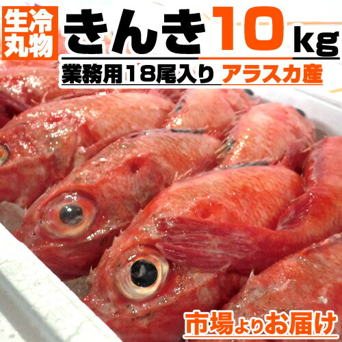 生冷 丸物 きんき 尾 10kg箱 丸もの生冷凍 きんき 冷凍魚 業務用 ワタあり 吉次 キンキ 魚 高級 業務用 贈答用 贈答 贈答品 返礼 返礼品 アラスカ 天然 きんき 旨い物 旨い ギフト プレゼント お祝い お中元 中元 お彼岸 彼岸
