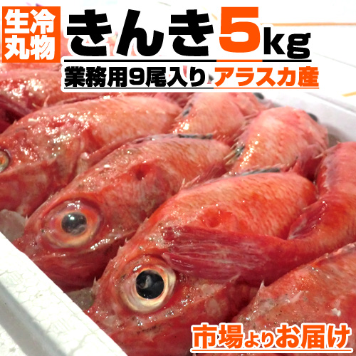 生冷 丸物 きんき 10尾 5kg箱 丸もの生冷凍 きんき 冷凍魚 業務用 ワタあり 吉次 キンキ 魚 高級 業務用 贈答用 贈答 贈答品 返礼 返礼品 アラスカ 天然 きんき 旨い物 旨い ギフト プレゼント お祝い 高級魚 お歳暮 御歳暮 歳暮