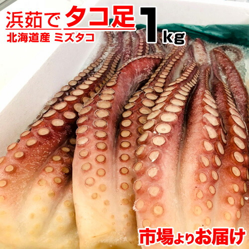 送料無料 ボイルタコ足 1kg 北海道産 | ボイルタコ 北海道産タコ 蛸 茹でタコ 茹で蛸 みずたこ ミズタコ  水蛸 浜茹で 浜茹でタコ 浜茹でタコ足 浜茹でミズタコ お取り寄せ 取り寄せ お取り寄せグルメ お取り寄せギフト 人気 お祝い 中元 御中元 お中元 人気