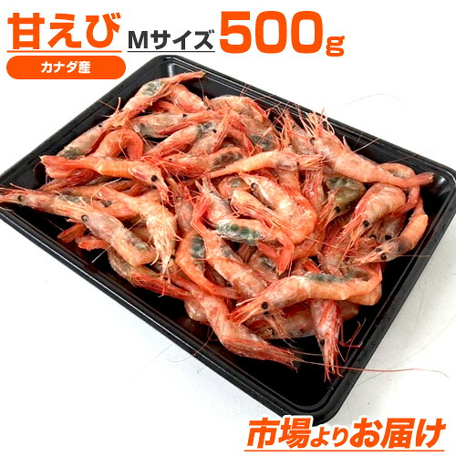 南蛮エビ 500g Mサイズ | なんばんえび 甘エビ 甘えび 海老 エビ えび 北海道 海鮮 水産 グルメ 贈答品 贈答 船上冷凍 お取り寄せ 取り寄せ お取り寄せ食品 お取り寄せグルメ お取り寄せギフト ギフト キャンプ グルメ お中元 中元 御中元 お盆 夏休み 帰省 土産｜ウオス 進風水産