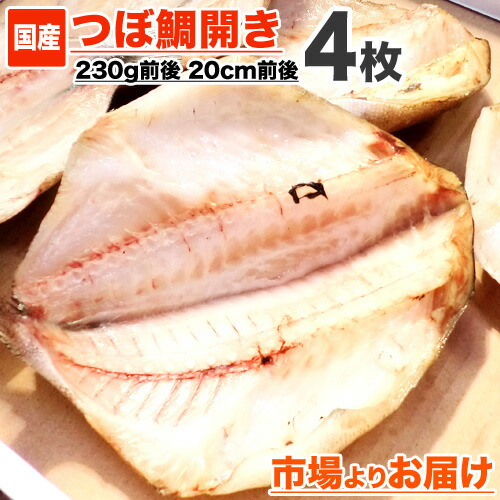 送料無料 楽天市場 送料無料 つぼ鯛 一夜干し 4枚 国内産 1枚あたり230g前後 ツボ鯛 ツボダイ つぼ鯛干物 つぼだい つぼ鯛開き 冷凍 一夜干し 魚 干物 無頭 無頭干物 国産 お取り寄せ 取り寄せ 仕入れ 卸 水産仕入れ 食品 おすすめ 特大干物 旨い 旨い物