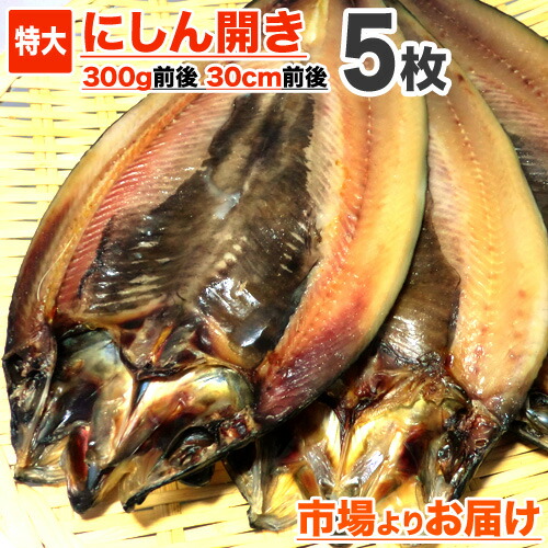 鰊開き 一夜干し 5枚 1枚 30cm300g前後 ニシン開き にしん開き ニシン干物 にしん ニシン 鰊 冷凍 一夜干し 魚 干物 ロシア産 オホーツク海域 お取り寄せ 取り寄せ 仕入れ 卸 水産仕入れ 食品 おすすめ 特大干物 旨い 旨い物 お取り寄せグルメ Gw こどもの日 母の日