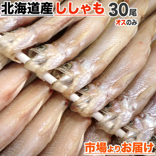 【 送料無料 】道産シシャモ オス 30尾入り | シシャモ 柳葉魚 道産ししゃも 北海道産ししゃも 北海道産シシャモ 北海道 干物 お土産 お取り寄せ 取り寄せ 一品 グルメ お取り寄せグルメ お取り寄せギフト お祝い 中元 御中元 お中元 縁起物 人気 北海道産