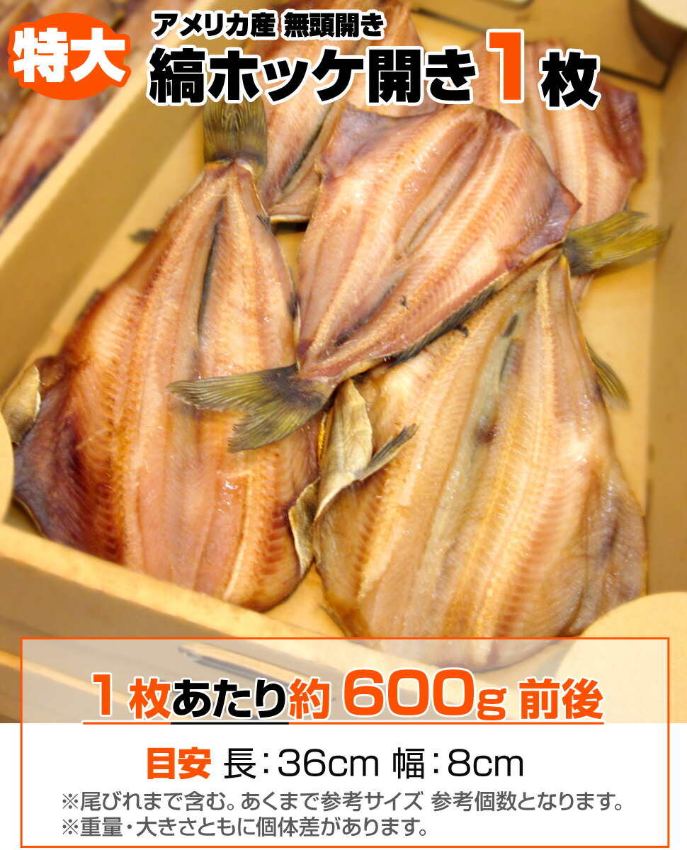 市場 送料無料 特大 縞ホッケ開き 魚 一夜干し 干物 シマホッケ 1枚 ほっけ開き 600g前後 ホッケ 縞ボッケ ホッケ干物 ほっけ 開き  しまほっけ