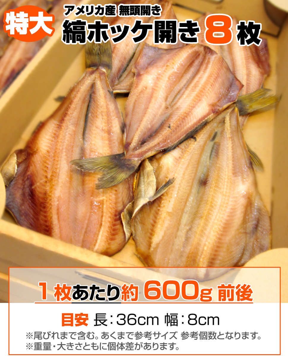 送料無料 特大 1枚600g前後 縞ホッケ開き ほっけ開き 干物 シマホッケ しまほっけ 一夜干し ホッケ 開き 縞ボッケ ホッケ干物 ほっけ 8枚