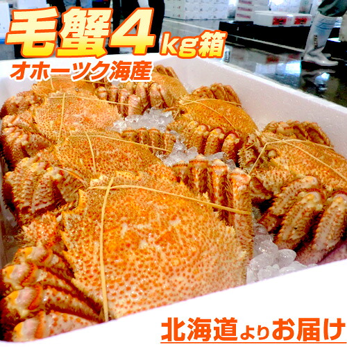 【 まとめ買い 】毛ガニ 姿 | オホーツク海 北海道 毛蟹 毛がに ボイル ぼいる ボイル毛ガニ 北海道 日本海 オホーツ海 蟹 カニ かに 冷凍 お土産 土産 まとめ買い お得 水産 物産 市場 業務用 ボイル蟹 かにみそ カニみそ カニミソ 新春 花見 お花見 行楽 連休 節句 お中元