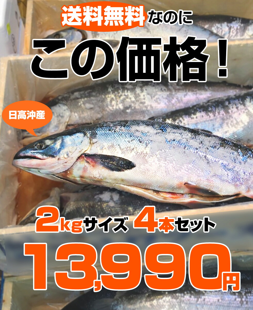 サケ 産地直送 サケ 塩漬け まとめ買い 北海道産 2kgサイズ 北海道 国産 お取り寄せギフト しゃけ 塩鮭 お祝い シャケ 4尾セット ギフト 新巻鮭 祝賀品 さけ 鮭 北海道産 一本もの 姿