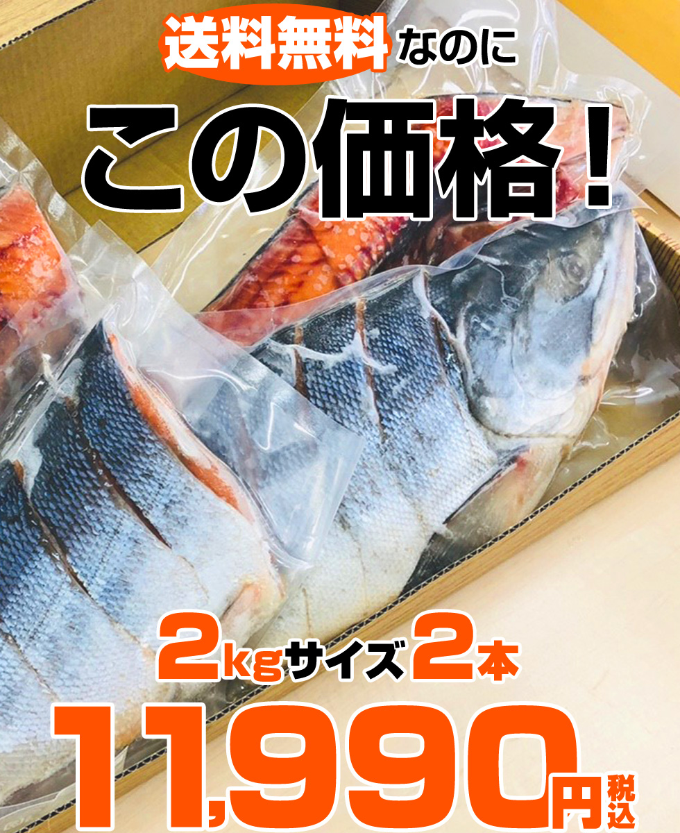 90%OFF!】 新巻鮭 切身加工 真空パック 北海道産 2kg × 2尾 塩鮭 姿 鮭 北海道 一本もの シャケ しゃけ サケ さけ ギフト 国産  内祝い お祝い 贈答品 返礼品 贈り物 塩引鮭 塩引き鮭 秋ジャケ 人気 1位 贈答可 売れ筋 旨い物