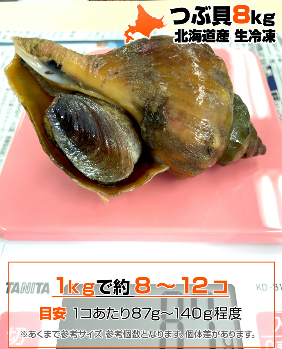 業務用 青つぶ貝 生冷凍 青ツブ貝 北海道産 8kg お取り寄せ まとめ買い 青つぶ 産地直送 つぶ貝 青ツブ ギフト ツブ ツブ北海道 つぶ