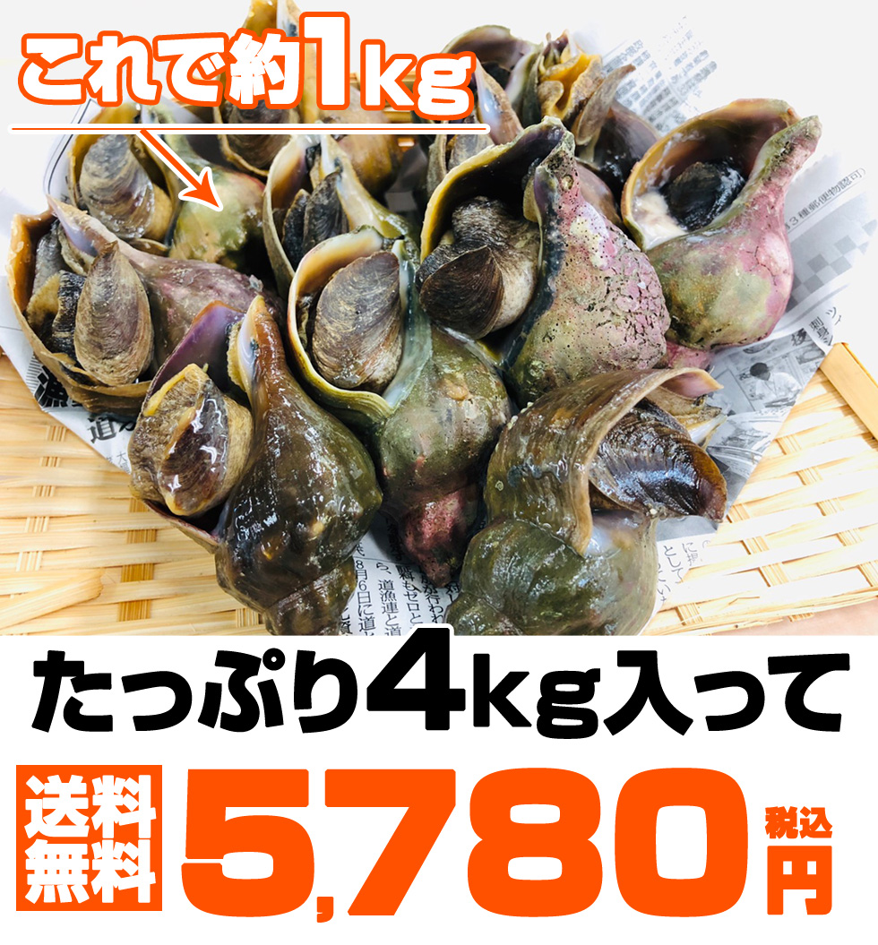 貨品物輸送無料 青つぶ外殻 素性封鎖 北海道分娩 4kg つぶ貝 つぶ ツブ 青つぶ 青ツブ 青ツブ貝 貝 北海道の貝 つぶ醤油煮 北海道 北海道産 人寄 まとめ買い お取り寄せ 古里直送 仕事効用 国産 詰め合わせ 北海道エピキュリアン 北海道産つぶ貝 生冷凍貝 宜しい物 旨い