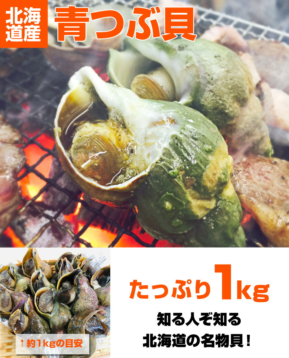 市場 送料無料 北海道産 青つぶ貝 青ツブ貝 つぶ醤油煮 貝ツブ つぶ貝 つぶ 生冷凍 ツブ 青ツブ 青つぶ 名物 1kg 貝 北海道 貝つぶ 北海道の 貝