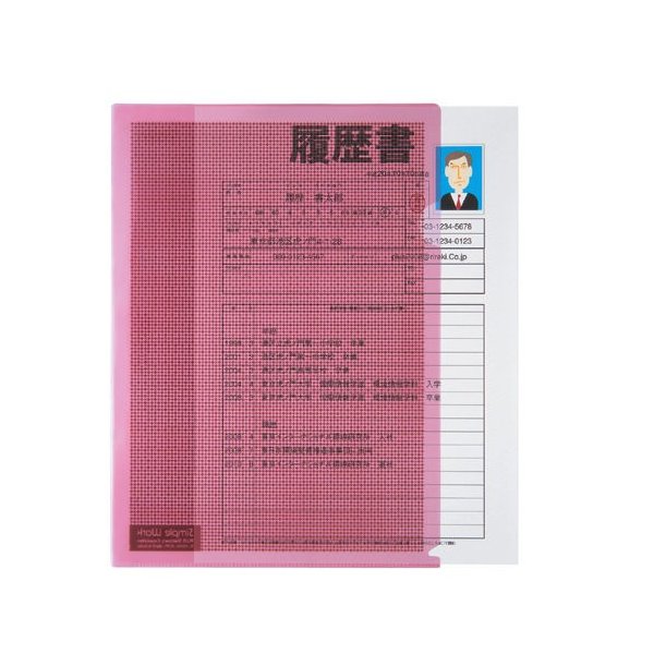 プラスカモフラージュホルダーA4桃100冊