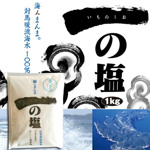 食塩 一の塩 1kg さらさらタイプ 10袋セット ミネラル 60種類以上 天然塩国産 塩 健康塩 海水塩ソルト 食塩 安心 安全低価格 調味料 脱水症熱中症 対策 成人病予防 Relentlessvb Com