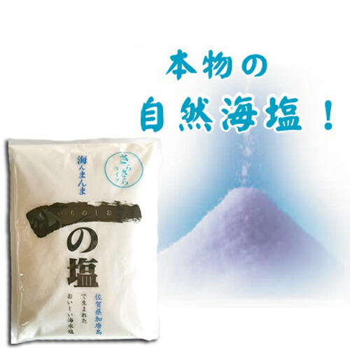 食塩 一の塩 1kg さらさらタイプ 10袋セット ミネラル 60種類以上 天然塩国産 塩 健康塩 海水塩ソルト 食塩 安心 安全低価格 調味料 脱水症熱中症 対策 成人病予防 Relentlessvb Com