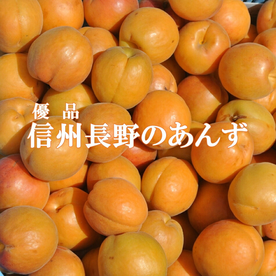 取っておく 21年度お産 信州長野の閥あんず4キロホームグラウンド商店生所直送 優品 生あんず 送料無料 Daemlu Cl