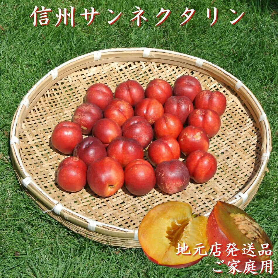 2025年7月下旬頃より限定出荷！信州産 長野県産 の ネクタリン 訳あり ネクタリン ご家庭用 1.4kg前後 訳アリ 1.4キロ 産地直送 信州産 ねくたりん 送料無料画像