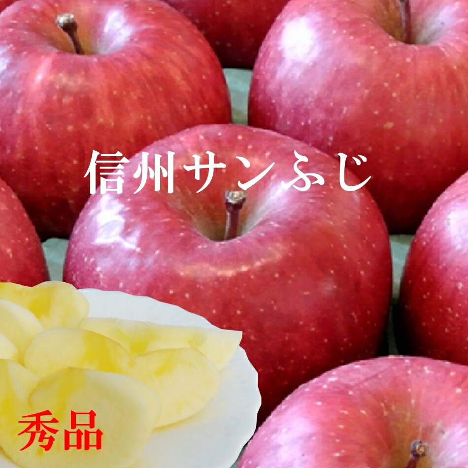 信州 長野 まつかわ産 サンふじ りんご 訳あり 20キロ程！ ふるさと納税＜令和7年度収穫分先行予約＞りんご 訳あり