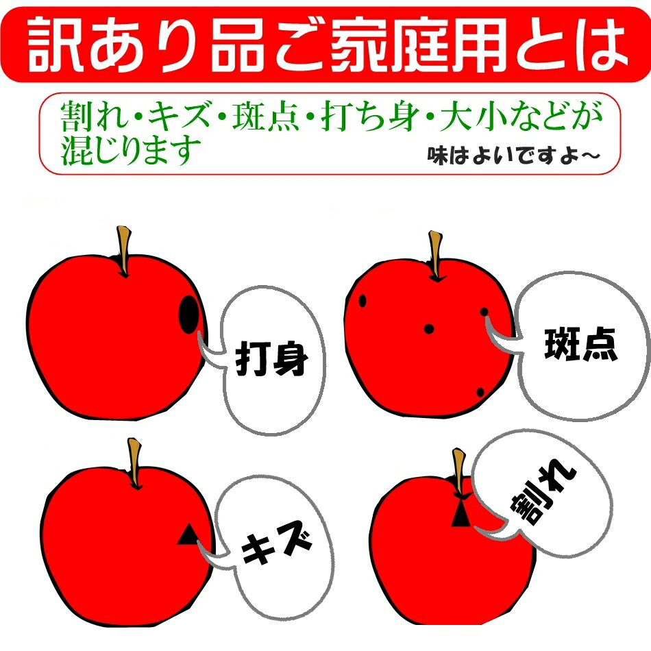 信州サンふじりんご10kg地元店産地直送ご家庭用サンふじりんご