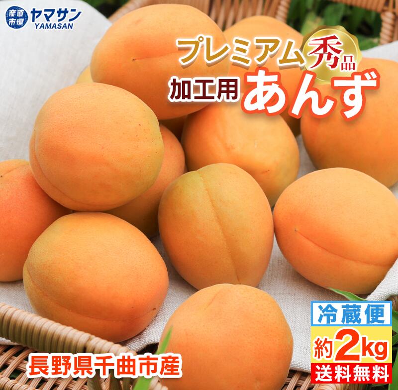 予約 加工用あんず 秀品 約2kg 長野県千曲市産 高級 プレミアム 6月下旬～7月中旬出荷【送料無料】クール便（約500g×4パック入）地元で人気の直売所から発送 令和７年度産 ２キロ 生あんず 生杏 生杏子  あんず 信州産 産直市場ヤマサン