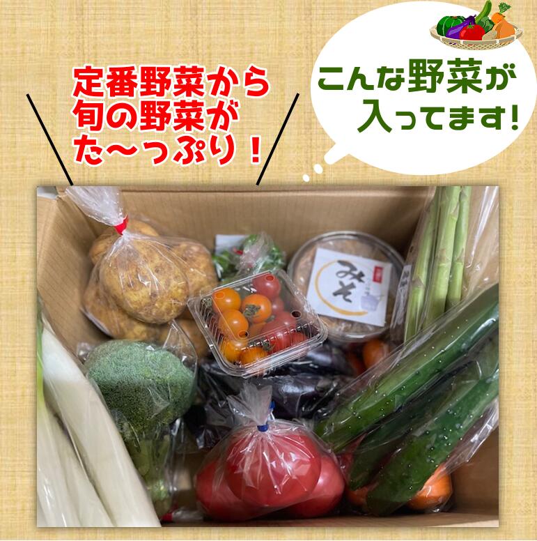 市場 送料無料 おまかせ野菜セット 手造みそ800ｇ付