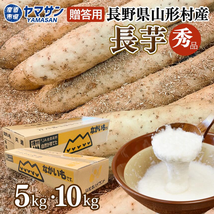 【出荷中】長野県 山形村 産 長芋 春掘り 【秀品】 10kg（7～10本） 5kg（3～5本）10キロ ５キロ 贈答用 長いも 長イモ ながいも 長薯 とろろ 冬野菜 野菜 ギフト グルメ 送料無料 お取り寄せ 産直市場ヤマサン