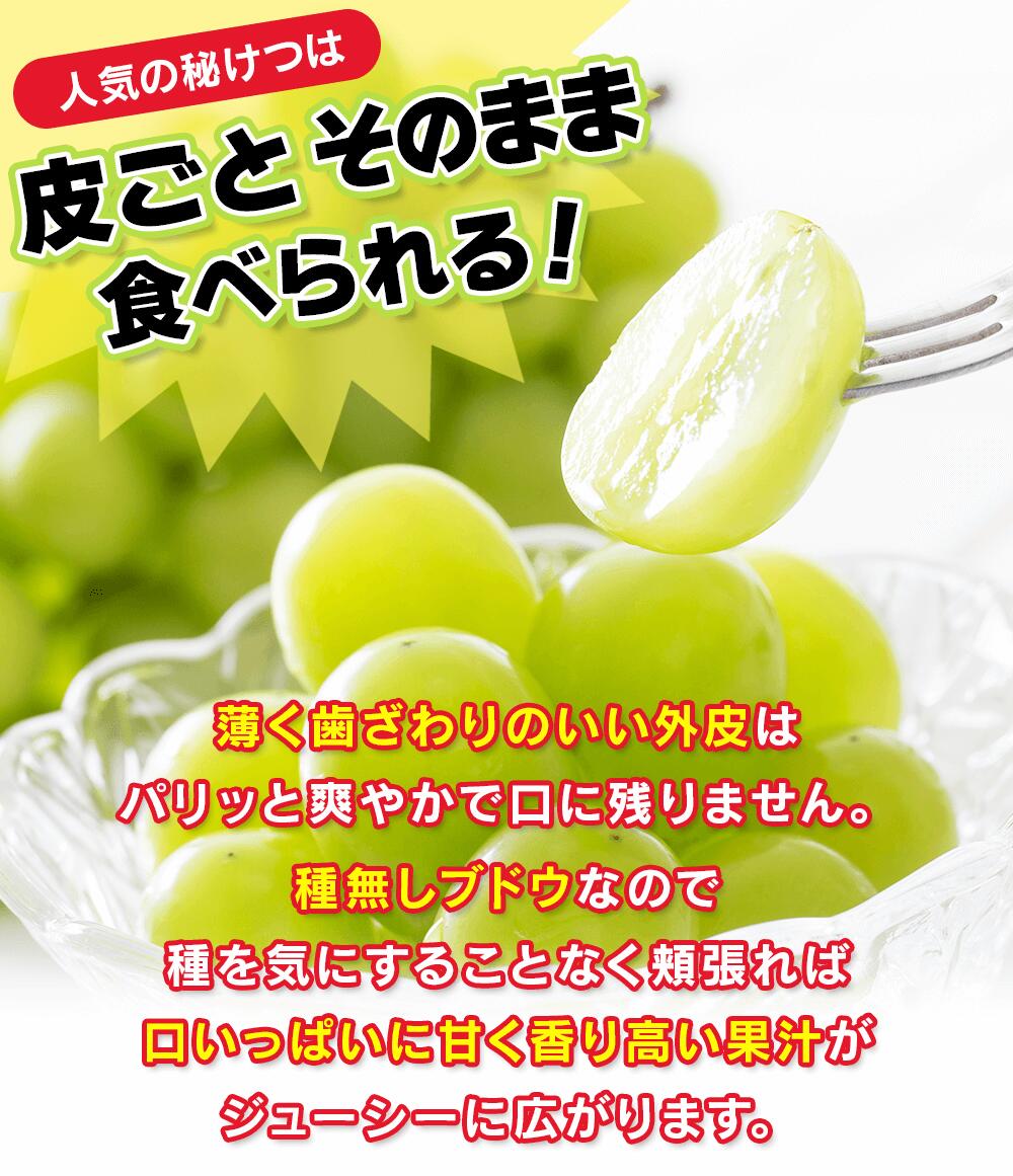 長野県産 シャインマスカット 1kg 以上(2~3房) 産地直送 ギフト 長野
