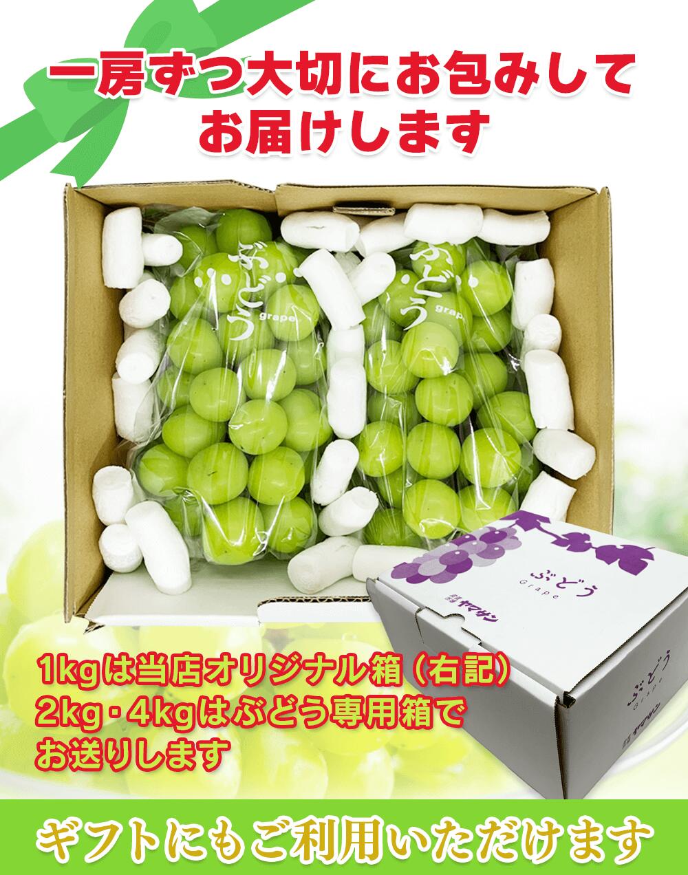 長野県産 シャインマスカット 1kg 以上(2~3房) 産地直送 ギフト 長野