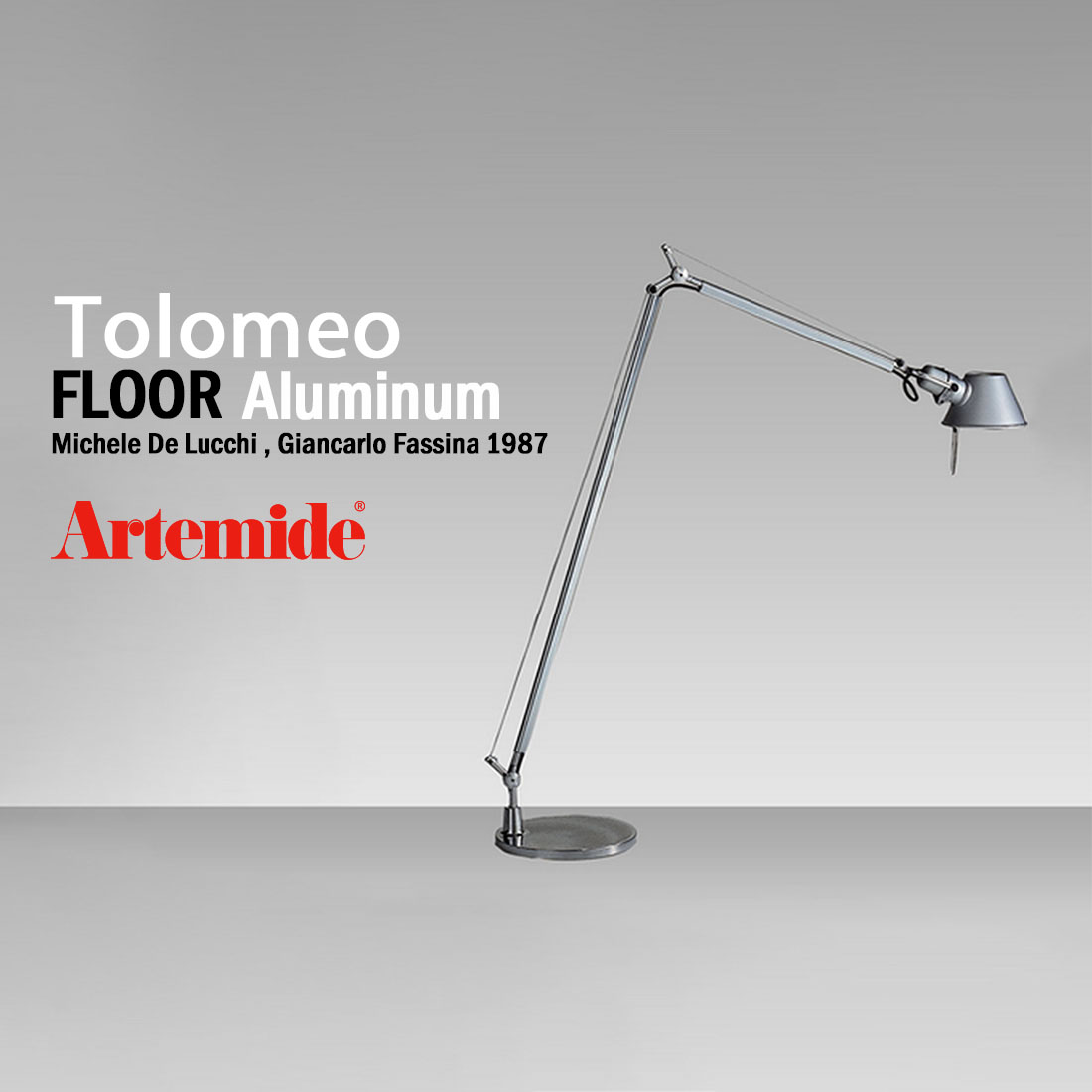 絶品】 Artemide アルテミデ TOLOMEO FLOOR トロメオ フロアランプ