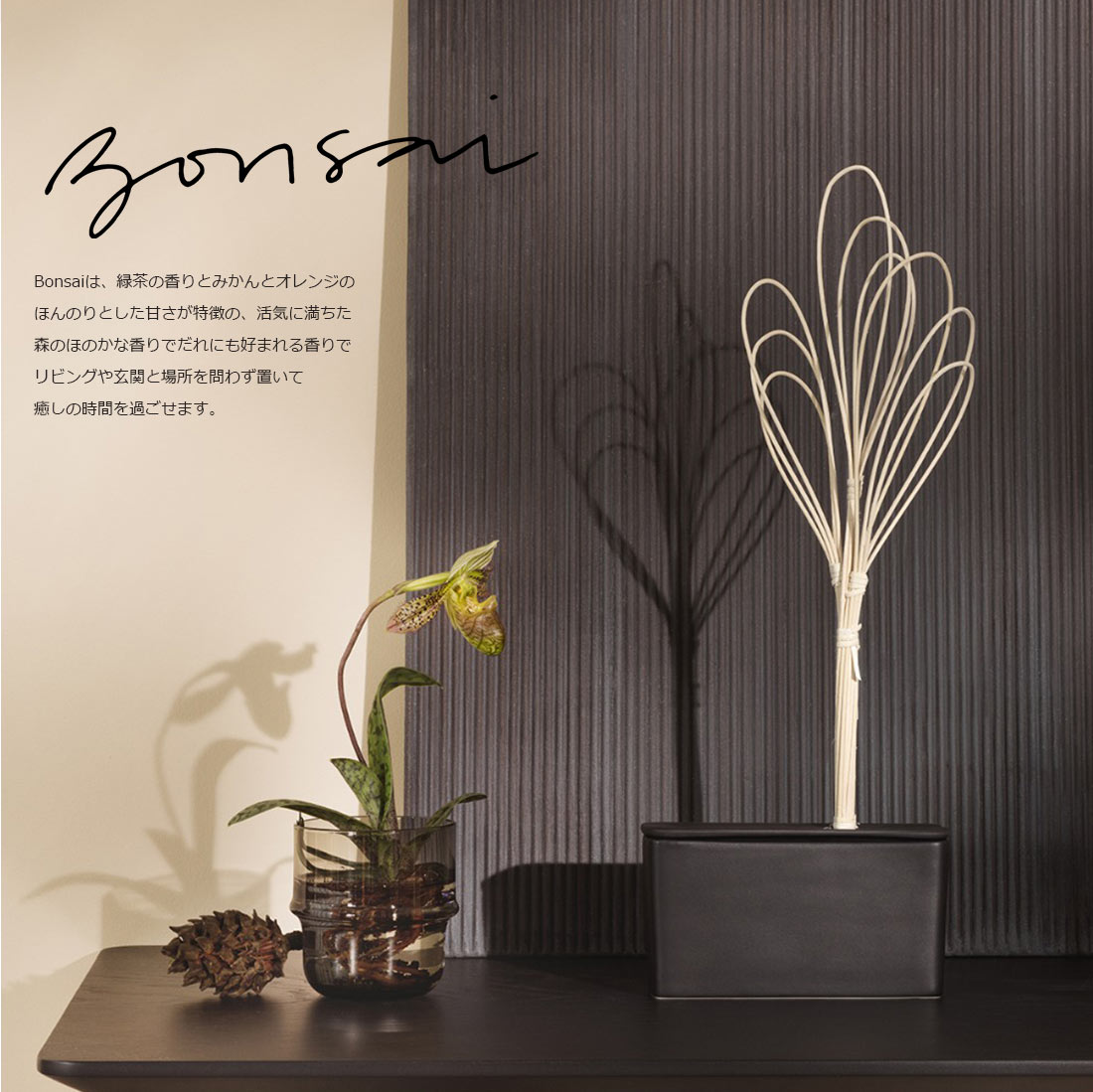 Design House デザインハウス ボンサイ Bonsai Stockholm ストックホルム アロマインテリア