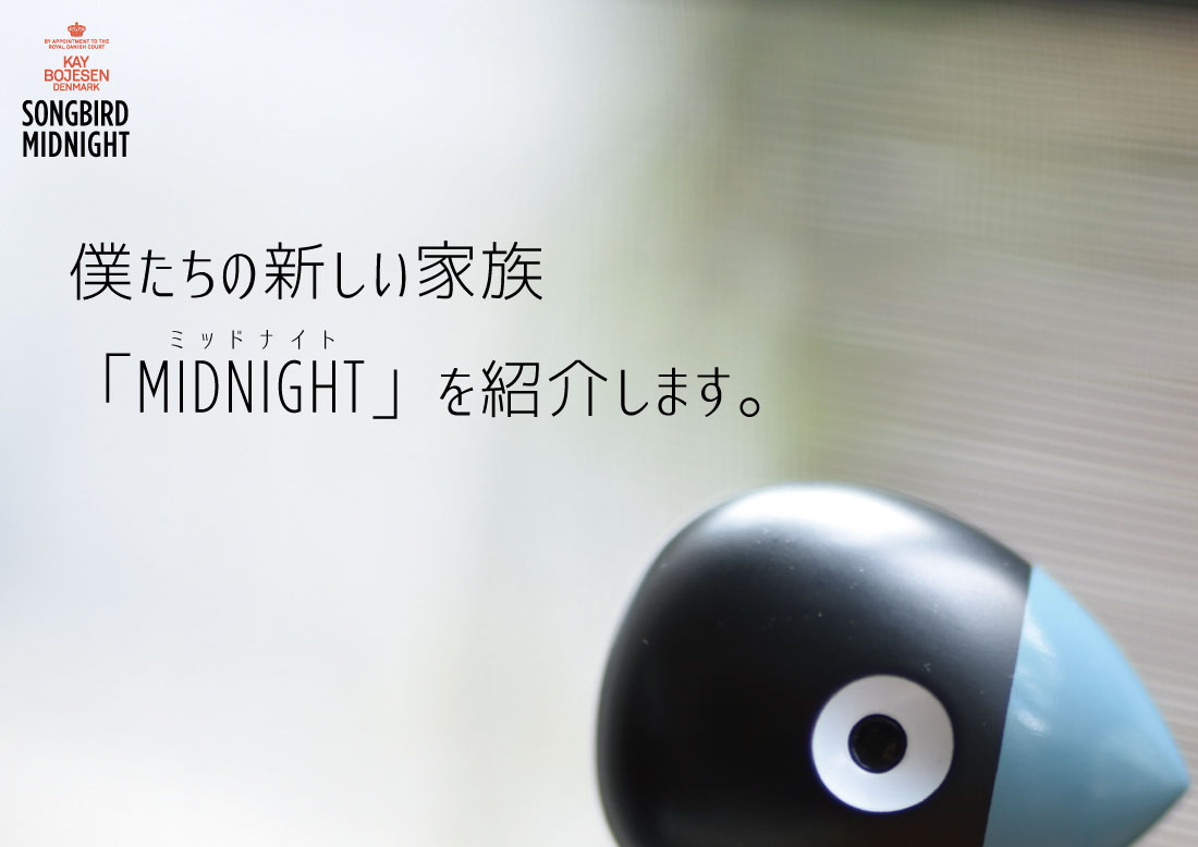 人気no 1 本体 楽天市場 Gw対象商品 Kay Bojesen Denmark カイ ボイスン Songbird Midnight ソングバード ミッドナイト カイボイスン デンマーク 北欧 オブジェ 鳥 木製 玩具 ネイビー Shinwa Shop 楽天市場店 最安値に挑戦 Lexusoman Com