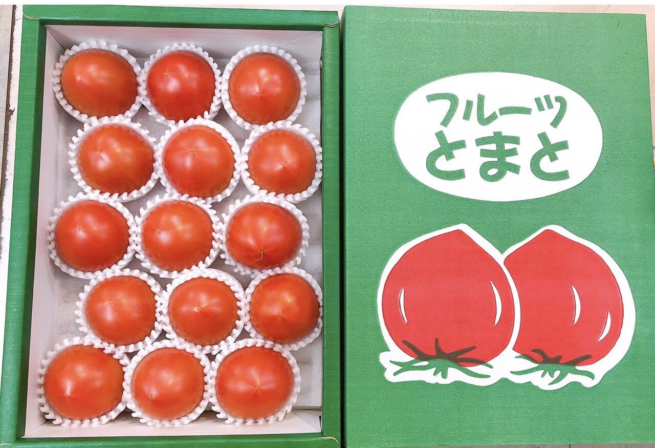 ギフト 愛知県産 フルーツトマト 加藤農園 よっちゃんのきわめ きわめ　トマト 送料無料 あすつく