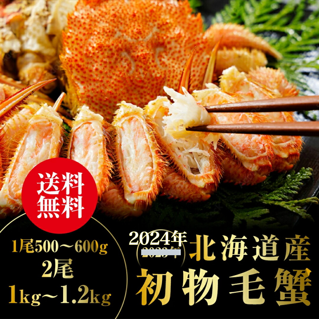 2024年初物 毛蟹 毛ガニ  1kg～1.2kg（1尾500～600g×2杯） けがに 毛ガニ 蟹 カニ 蟹みそ かに味噌 かに足　送料無料  甲羅焼き カニ飯 甲羅酒 カニ鍋 焼きガニ ギフト お取り寄せグルメ お取り寄せ 贈り物 贈答